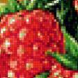 Предпросмотр схемы вышивки «Фруктово-ягодное ассорти.Для кухни.» (№939692)