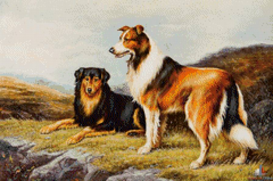 211 - животные, собака, природа, красота, картина - предпросмотр