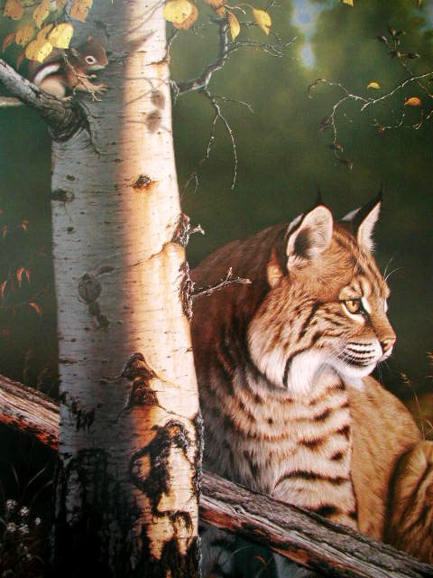 214 - картина, рысь, природа, красота, кошка, животные - оригинал