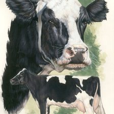 Голштинская Молочная Корова