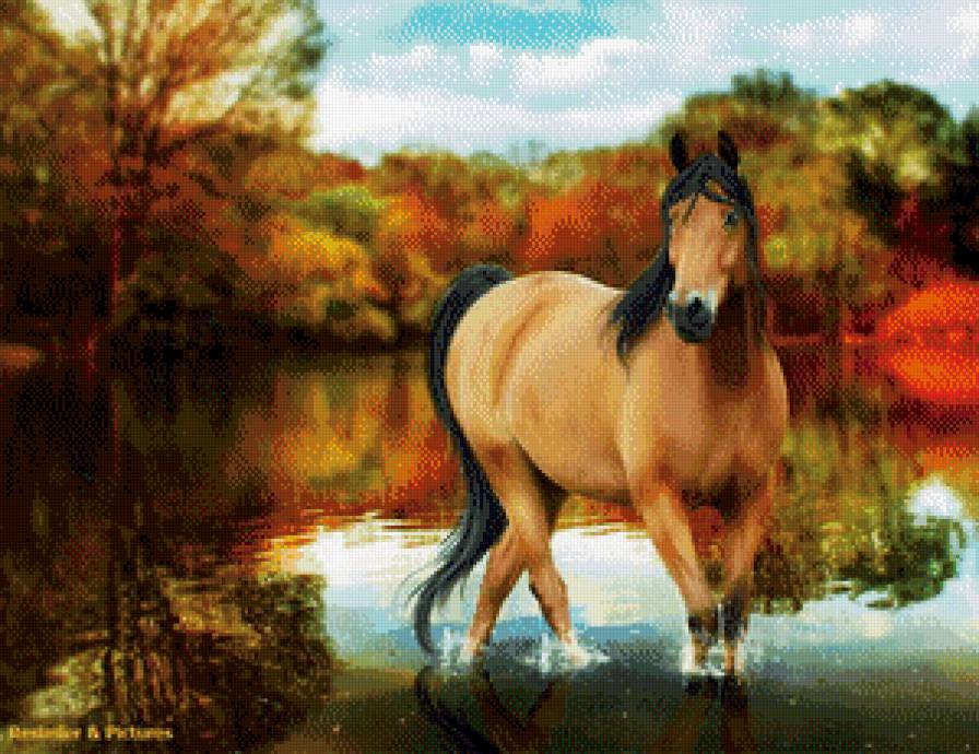 красавица - осень, вода, лошадь, грация - предпросмотр