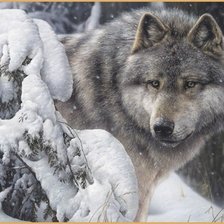 Схема вышивки «Волк зимой»