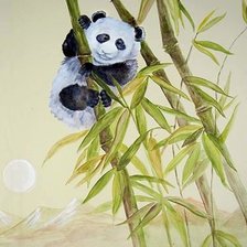 панда на бамбуке