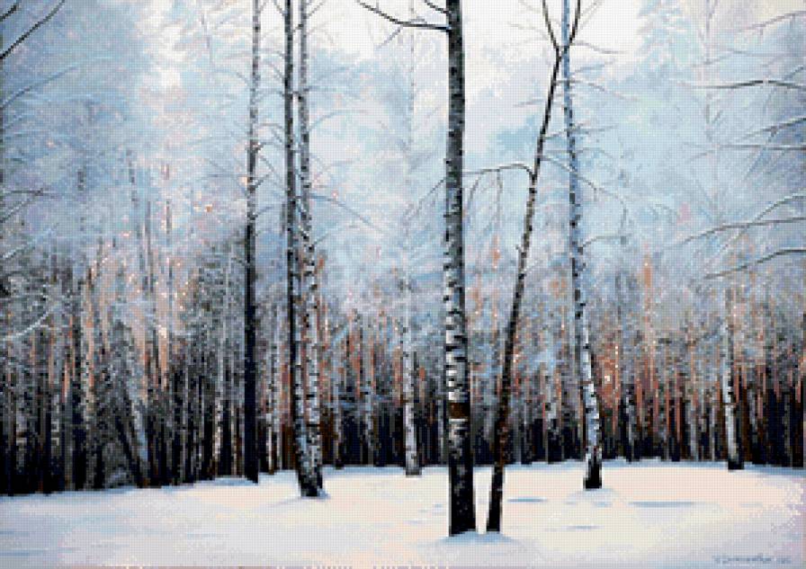 зима в берёзовой роще - зима, природа, снег, пейзаж, лес, березы, мороз, живопись, роща - предпросмотр