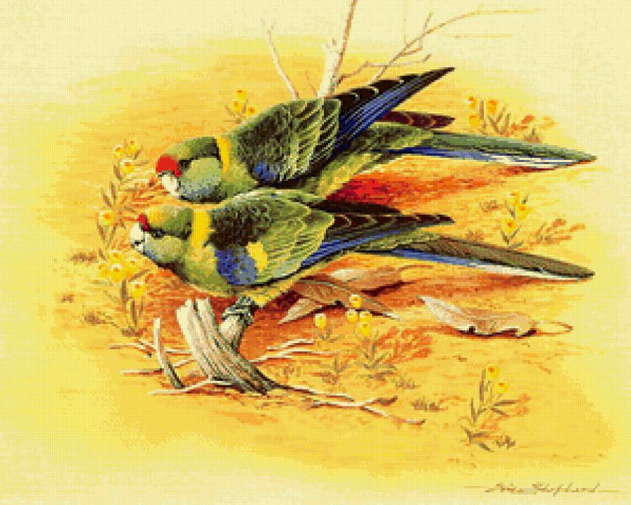 попугайчики на ветке - природа, попугаи, картина, ветка, пара, птицы - предпросмотр