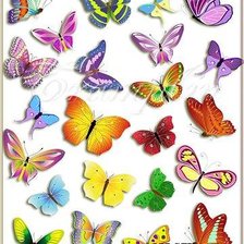 Оригинал схемы вышивки «бабочки» (№942857)