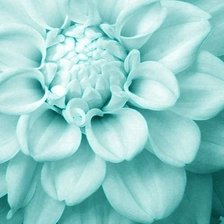 Схема вышивки «голубой цветок»