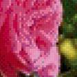 Предпросмотр схемы вышивки «розовый куст» (№944634)