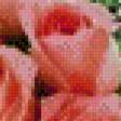 Предпросмотр схемы вышивки «розы» (№945405)