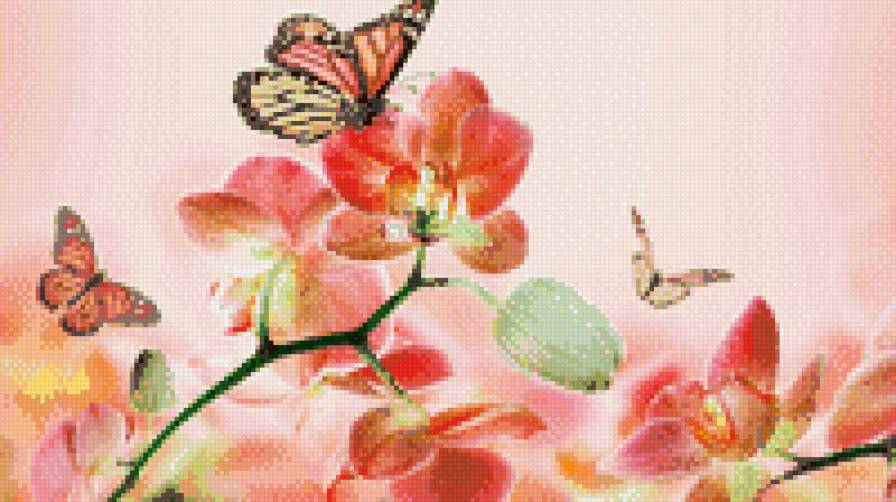 Бабочки, цветы - бабочки, цветы - предпросмотр