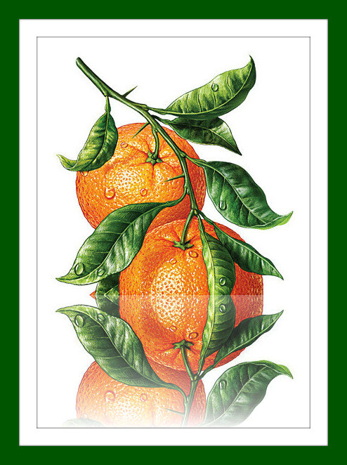 Серия "На кухню" - ветка, апельсины, картина, отражение - оригинал