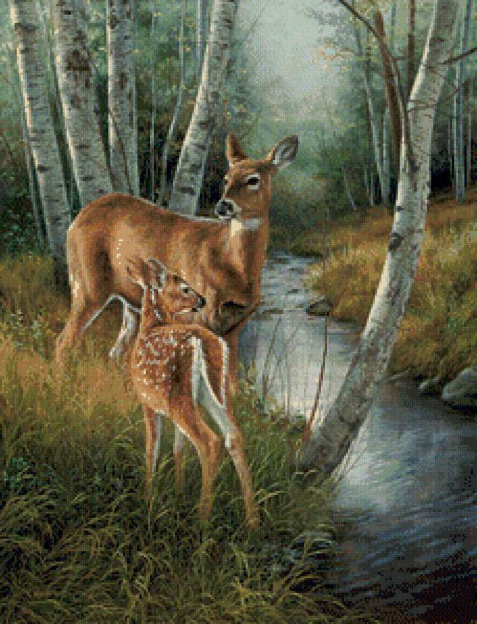 Серия "Дикая природа" - олененок, река, лес, олени, природа, мать и дитя - предпросмотр