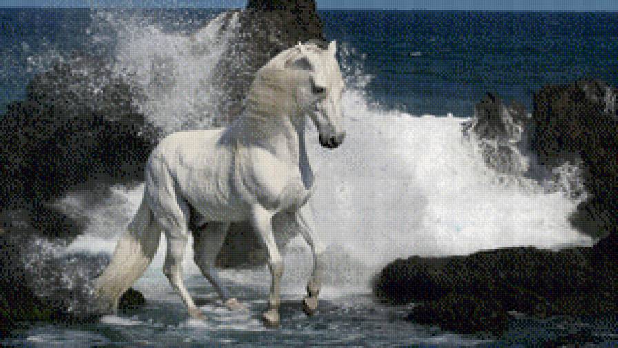 конь - конь, скалы, море, волны - предпросмотр