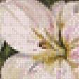 Предпросмотр схемы вышивки «лилии» (№946704)