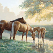 Схема вышивки «Лошади у ручья»