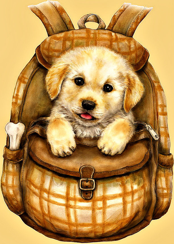 Серия "Мультяшки" - рюкзак, щенок, поход, веселая картинка, собачка - оригинал