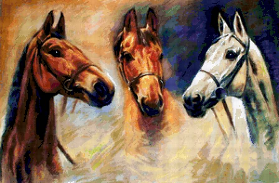 Три красавца - лошади, животные - предпросмотр