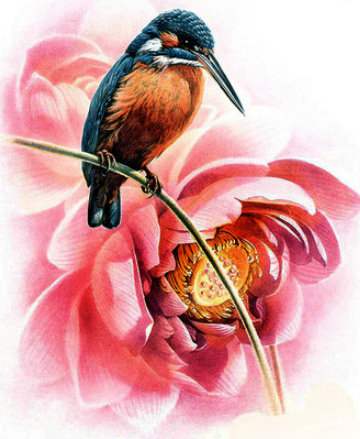 Птичка - цветы, птицы - оригинал