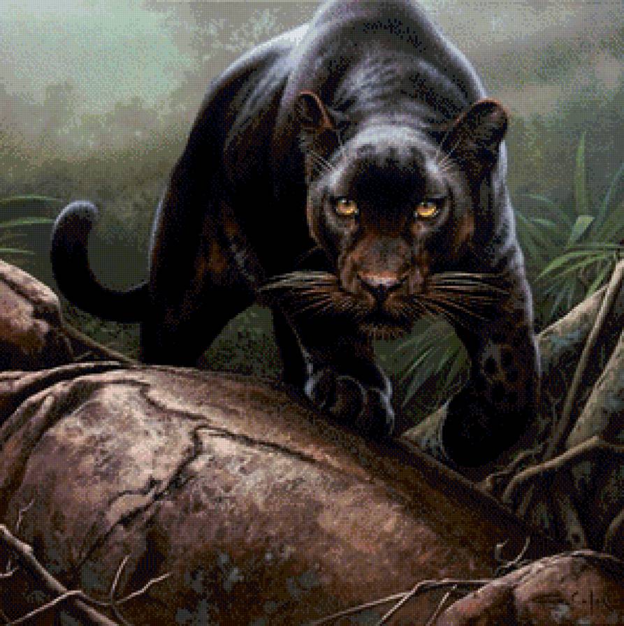 пантера - дикие животные, картина, пантера - предпросмотр