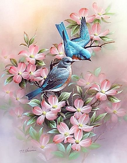 птички на цветущей ветке - семья, птицы, цветы, ветка, любовь, нежность, пара, сад - оригинал