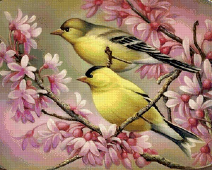 пара птиц на цветущей ветке - сад, птицы, цветы, пара, нежность, ветка, семья, любовь, весна - предпросмотр