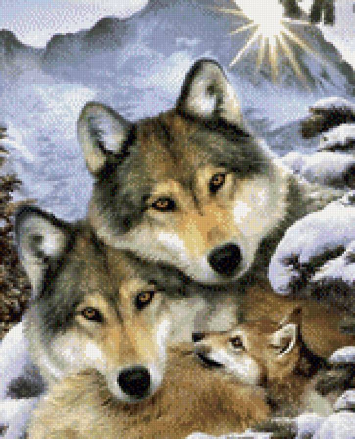 Настоящая семья - семья, спокойствие, волки - предпросмотр