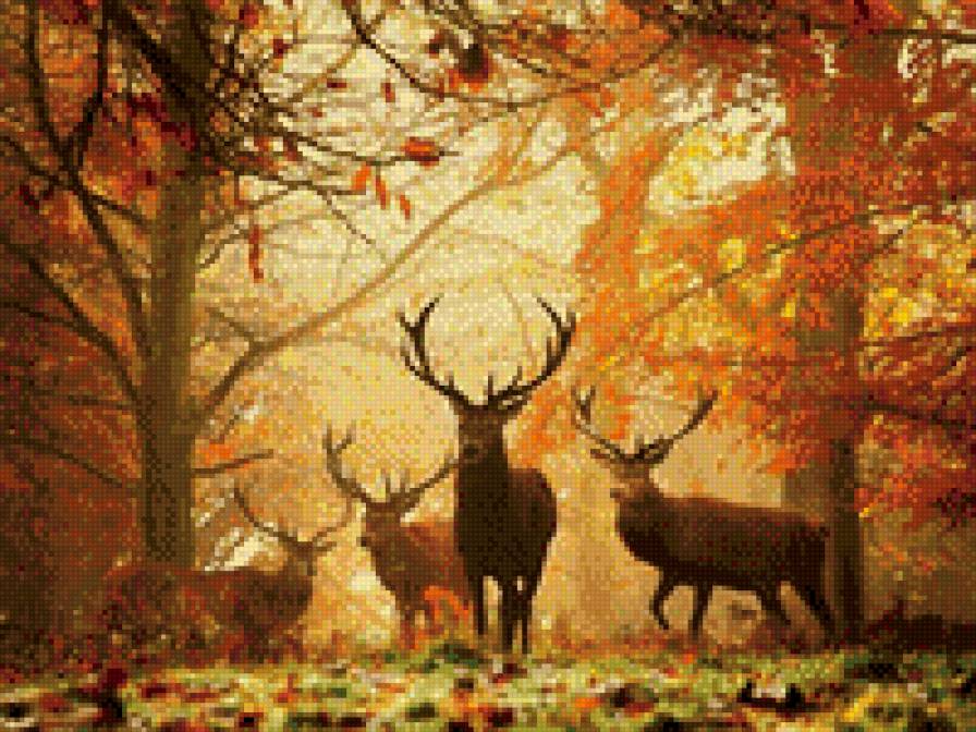 Осенний лес - лес, олени, природа - предпросмотр