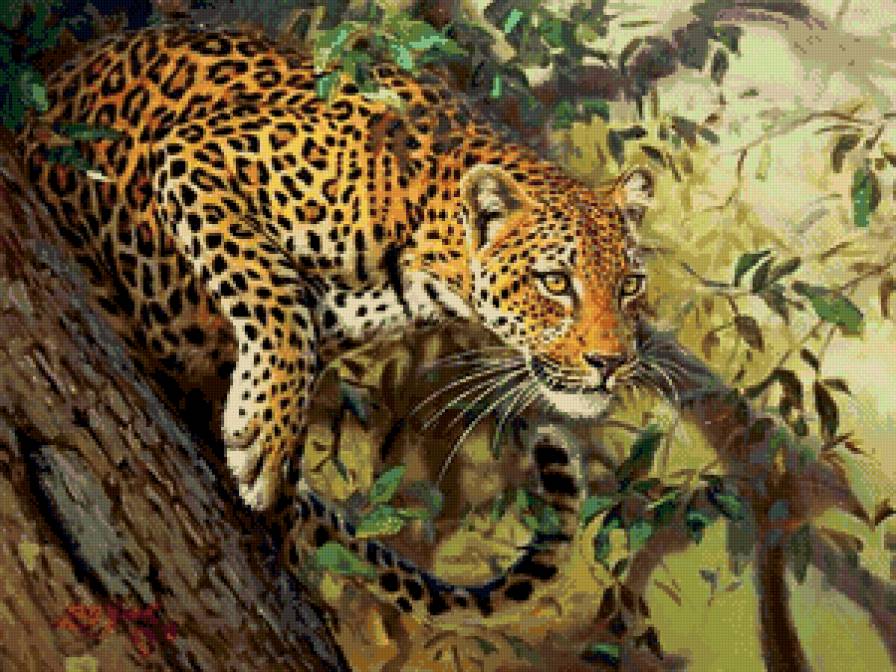 леопард на дереве - леопард, природа, животное, дерево, кошка - предпросмотр