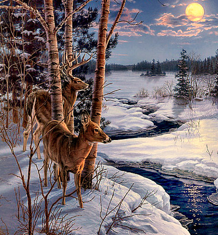 Серия "Дикая природа" - снег, зимний пейзаж, мороз, олени, река - оригинал