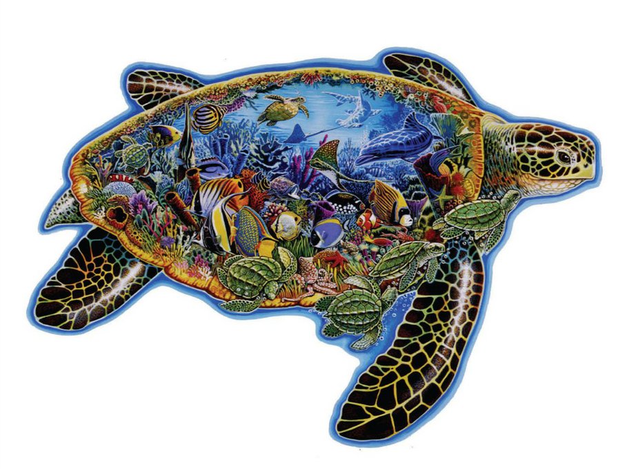 Хаед Черепаха и Красное море - ракушки, черепаха, рыбки, море - оригинал