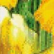 Предпросмотр схемы вышивки «жёлтые маки» (№955713)