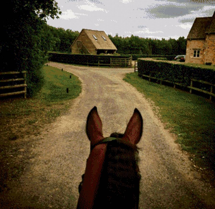 Конь в беге - трава, дома, конь - предпросмотр