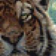 Предпросмотр схемы вышивки «пара тигров» (№956664)