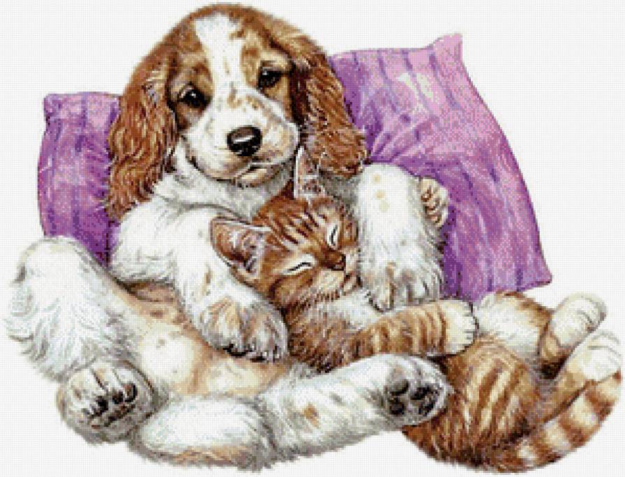 Серия "Домашние любимцы" - котенок, отдых, дружба, собачка, сон - предпросмотр