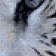 Предпросмотр схемы вышивки «белый тигр» (№957620)