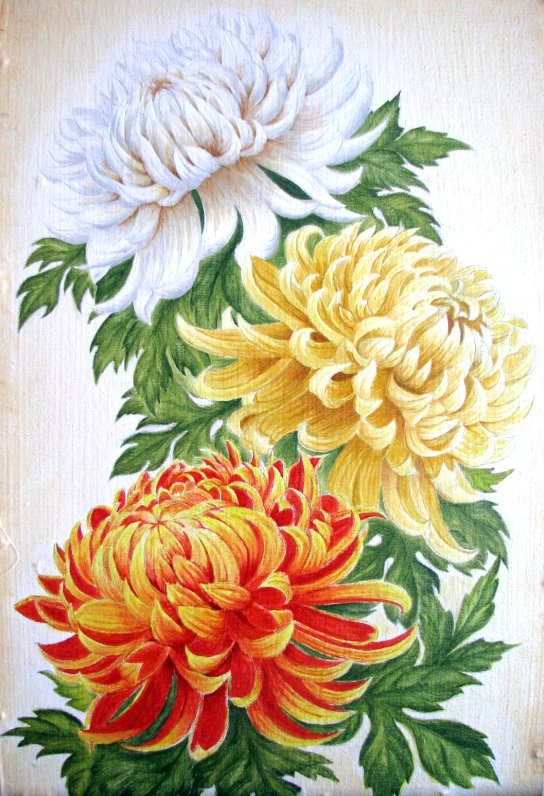 Хризантема - букет, цветы, маленькая - оригинал