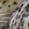 Предпросмотр схемы вышивки «леопарды» (№959098)