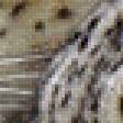 Предпросмотр схемы вышивки «леопарды» (№959099)
