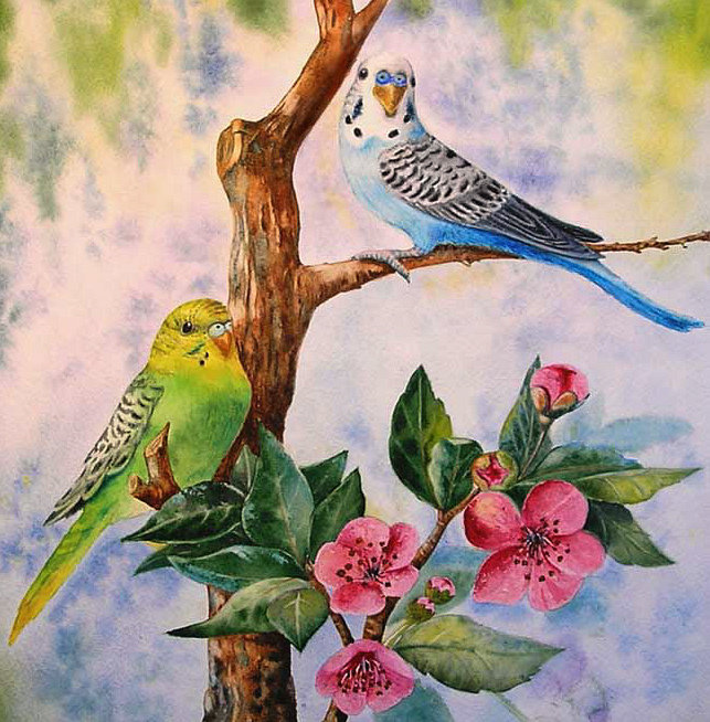 Серия "Пернатые" - птицы, цветы, цветущая ветка, природа, попугайчики - оригинал