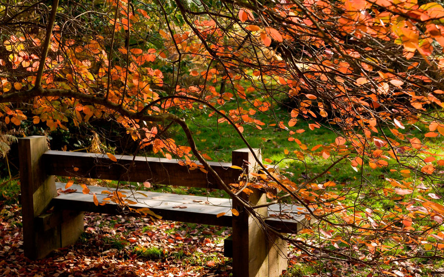 Осенний парк - скамья, осень, лавка, парк, листья - оригинал