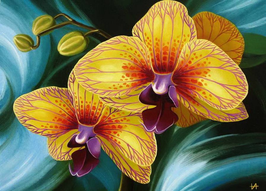 Желтые орхидеи - цветы - оригинал