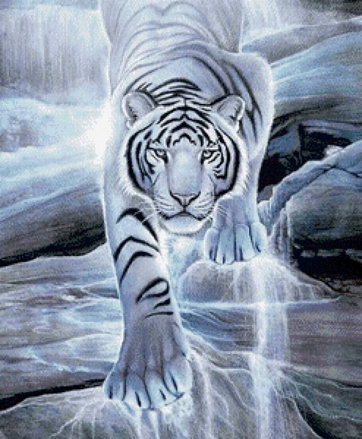Белый тигр - хищник, животные, тигр - предпросмотр