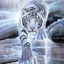 Оригинал схемы вышивки «Белый тигр» (№960908)