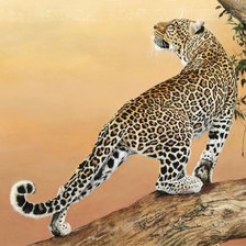 Оригинал схемы вышивки «леопард» (№961165)