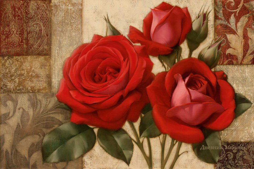 красные розы - цветы, розы - оригинал