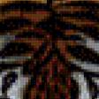 Предпросмотр схемы вышивки «Тигр» (№961966)