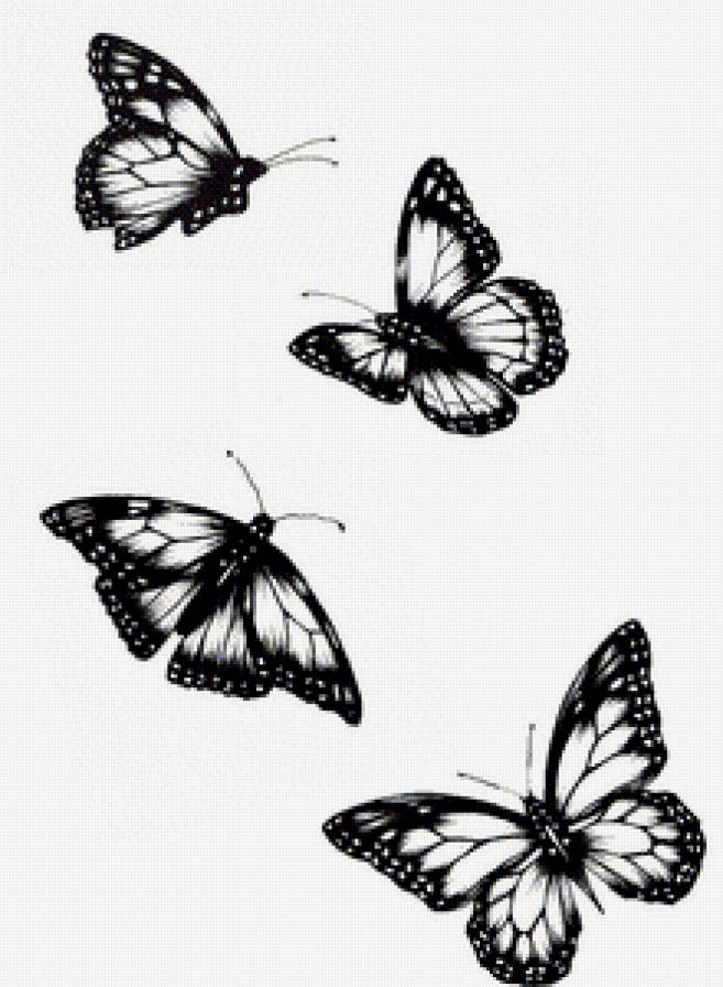 Бабочки - черно-белый, бабочки, монохром - предпросмотр