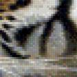 Предпросмотр схемы вышивки «тигр» (№962654)