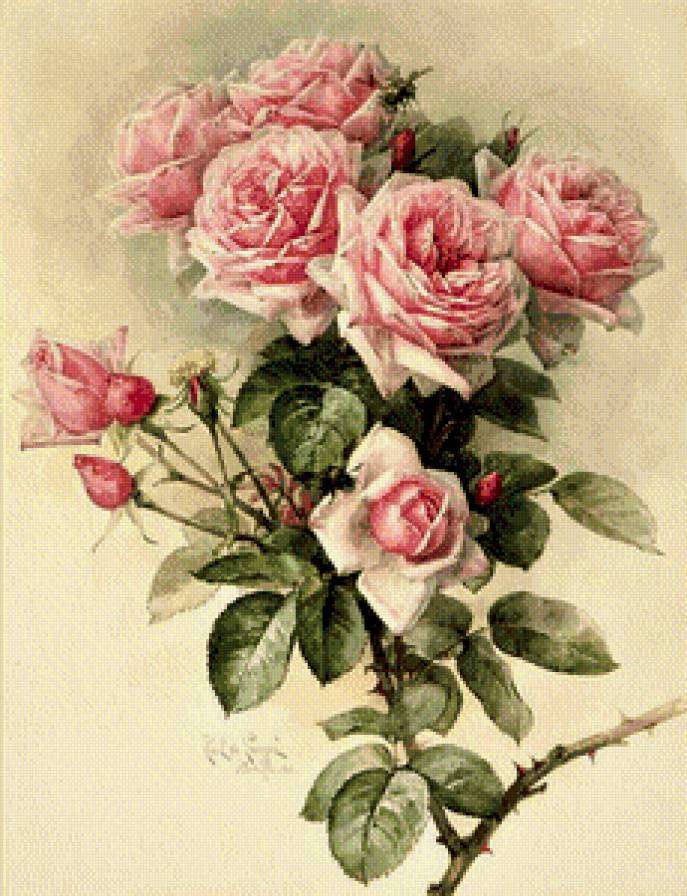 Серия "Цветы, букеты" - пчелки, винтаж, нежные розы, розовые - предпросмотр