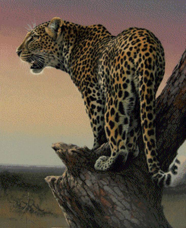 Серия "Дикая природа" - грациозная кошка, леопард - предпросмотр